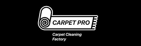 Carpet Pro